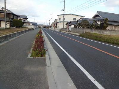 Other local. Local (12 May 2013) Shooting