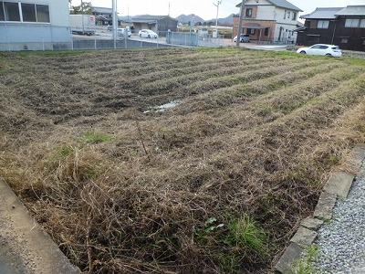 Other local. Local (12 May 2013) Shooting