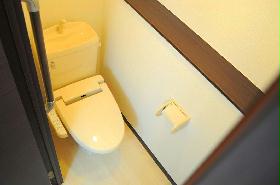 Toilet. Comfortable warm water washing toilet seat specification