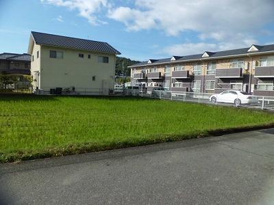 Other local. Local (11 May 2013) Shooting