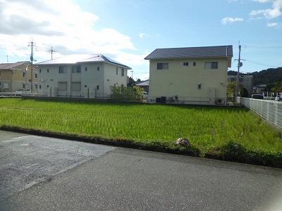 Other local. Local (11 May 2013) Shooting