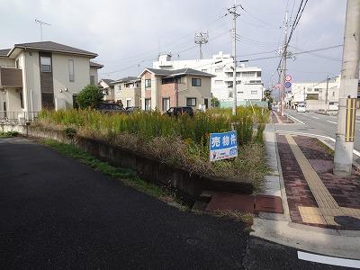 Other local. Local (11 May 2013) Shooting