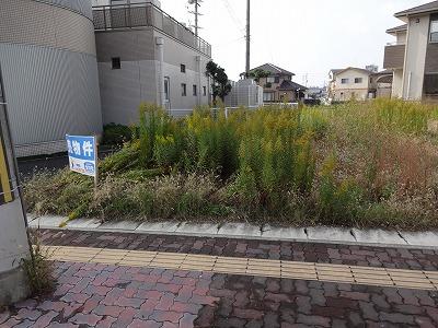 Other local. Local (11 May 2013) Shooting