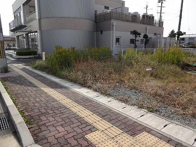 Other local. Local (11 May 2013) Shooting