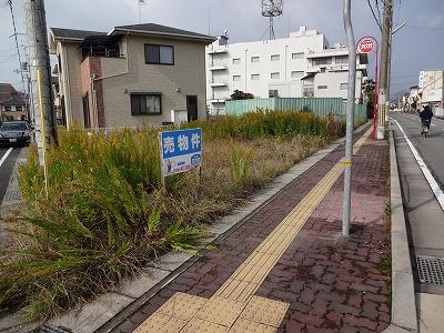 Other local. Local (11 May 2013) Shooting