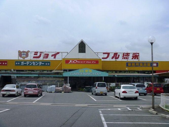 Other. Joyful Tokunaga