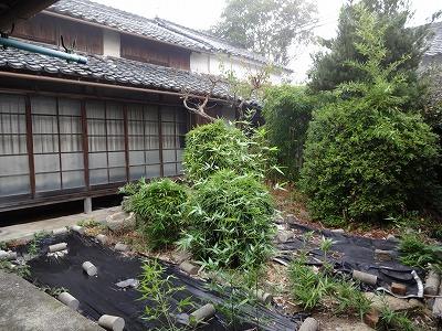 Garden. Local (10 May 2013) Shooting