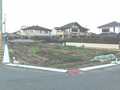 Local land photo. Local (11 May 2013) Shooting