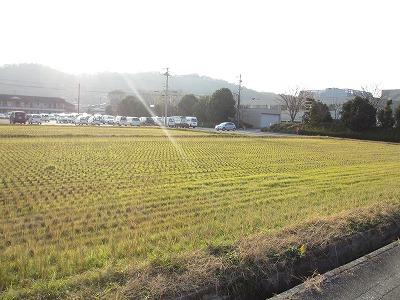 Local land photo. Local (11 May 2013) Shooting