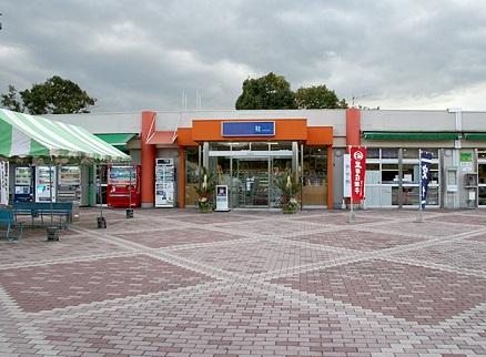 Other. Company service area