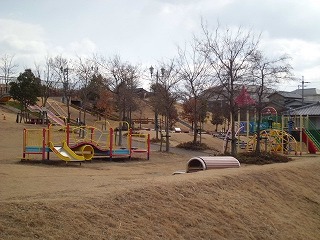 Other. park