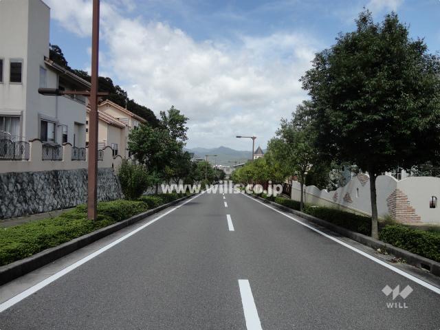 Local photos, including front road. Frontal road