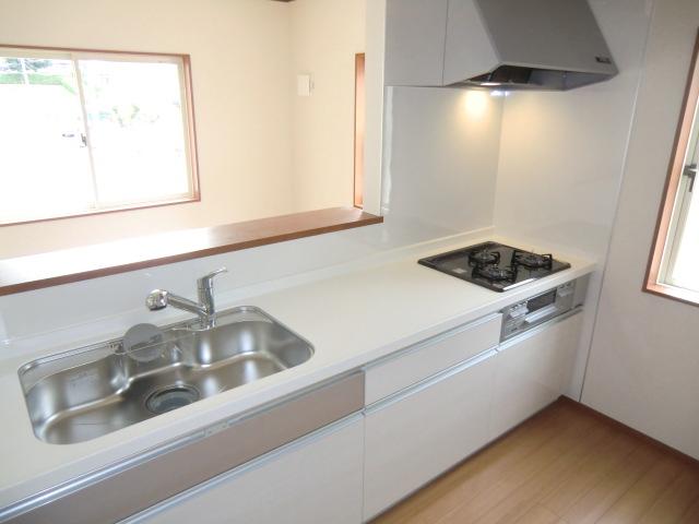 Kitchen. Local photo (kitchen) Slide storage! Water purifier with shower! 