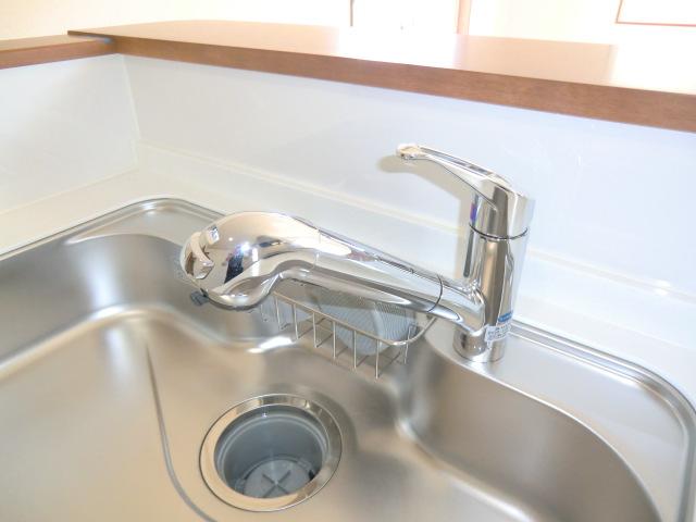 Other Equipment. Local photo (water purifier built-in hand shower)