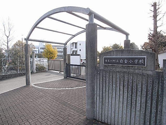 Primary school. 650m to platinum elementary school (elementary school)