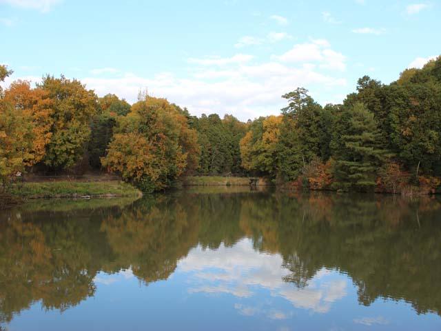 Other. Local (11 May 2013) Shooting Nightingale in the park