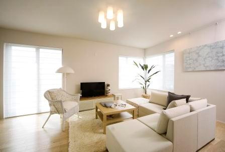 Model house photo. Living