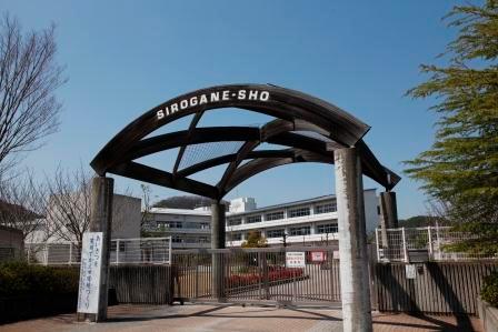 Primary school. Easy to child-rearing in the distance the reach of 40m th to platinum elementary school! 