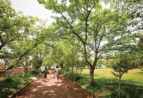 park. 120m to Ohara park