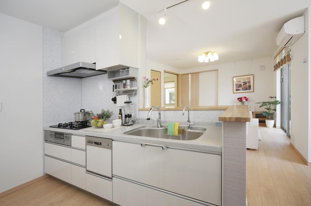 Kitchen. Model house (S-1 No. land)