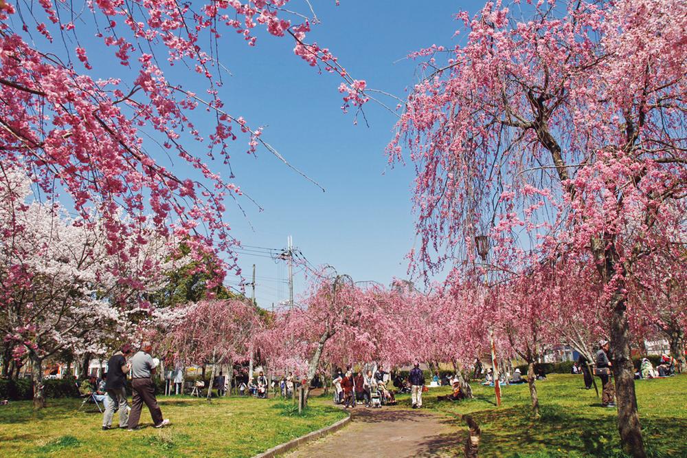 park. 290m until Sakura Pond Nature Park
