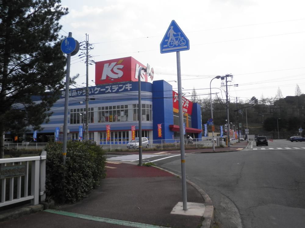 Other. There is a K's Denki in front of the station