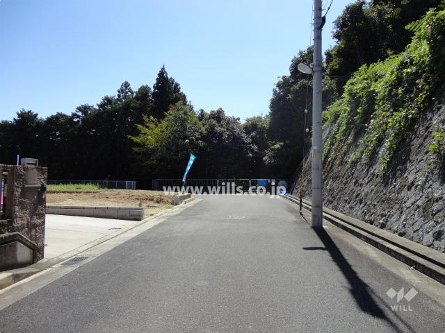 Local photos, including front road. Frontal road