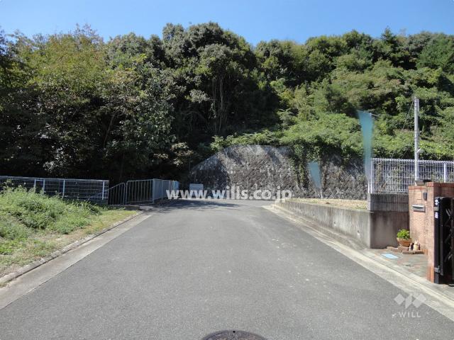 Local photos, including front road. Frontal road