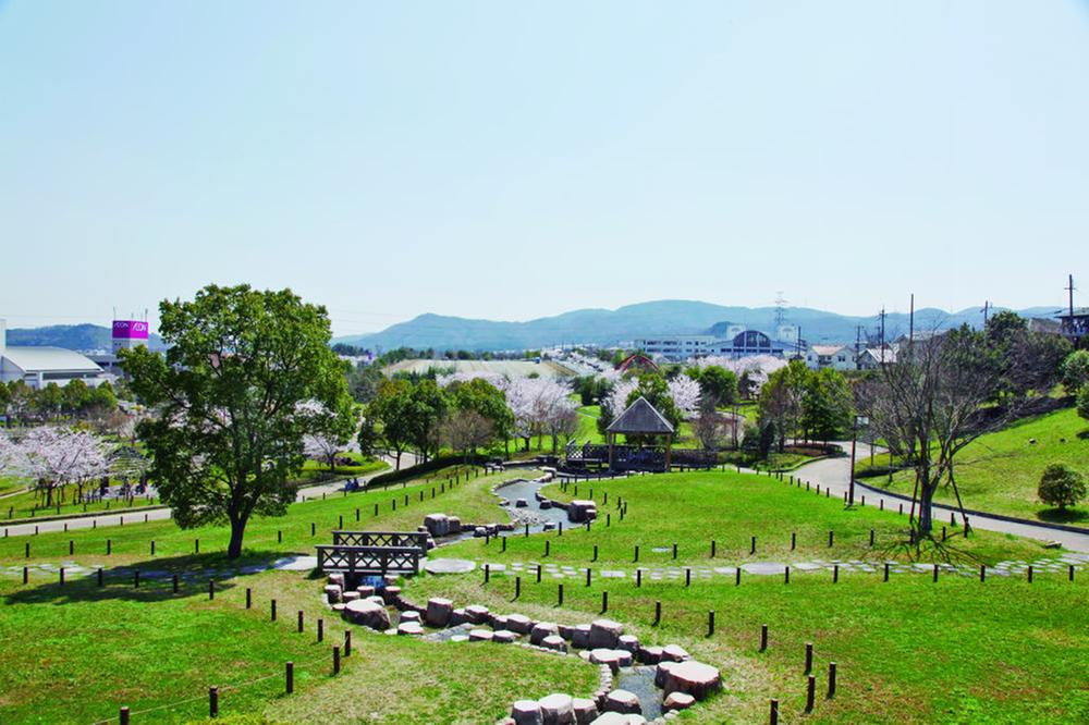 park. Petting the north park