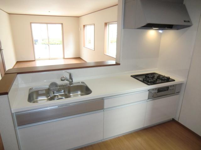 Kitchen. Local photo (kitchen) Slide storage! Water purifier with shower! 