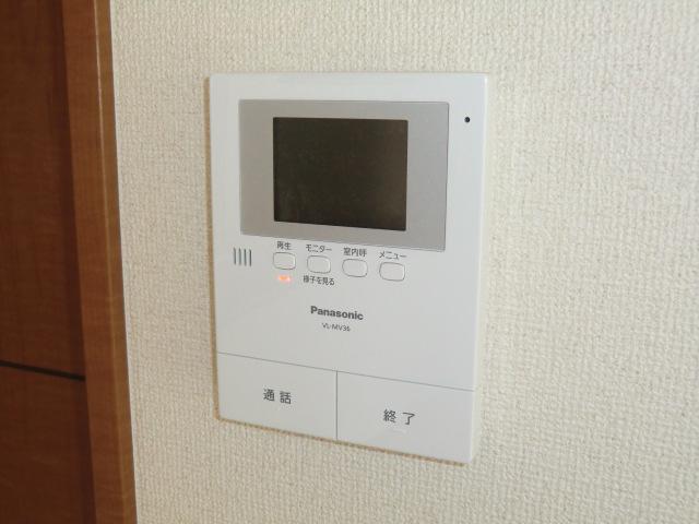 Security equipment. Local photos (color monitor intercom)