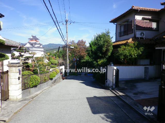 Local photos, including front road