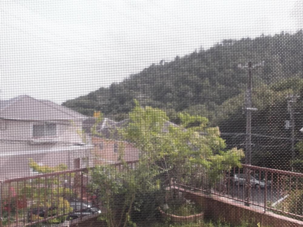 View photos from the dwelling unit. The view from the second floor