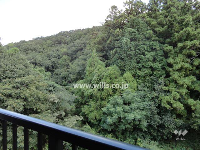 View photos from the dwelling unit