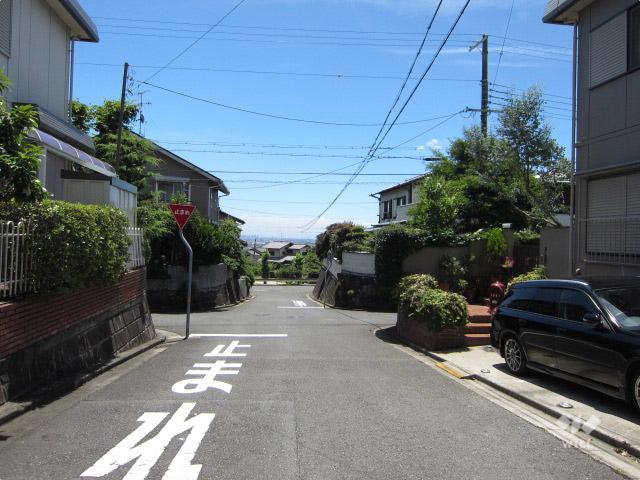 Local photos, including front road