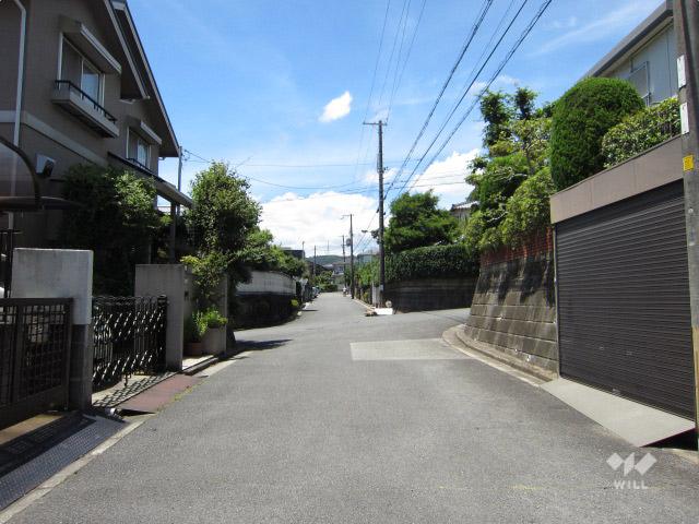 Local photos, including front road