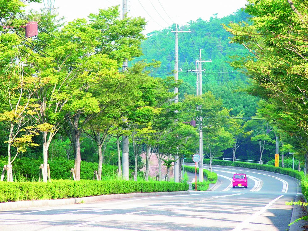 Streets around. 800m to bus Street Keyakizaka Town entrance