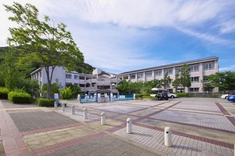 Primary school. Municipal Keyakizaka until elementary school 440m