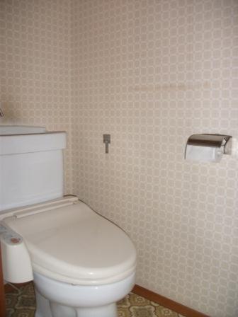 Toilet. Shoot the toilet