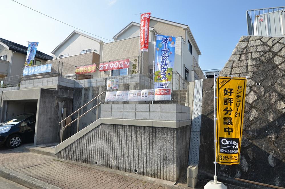 No. 2 place appearance photo