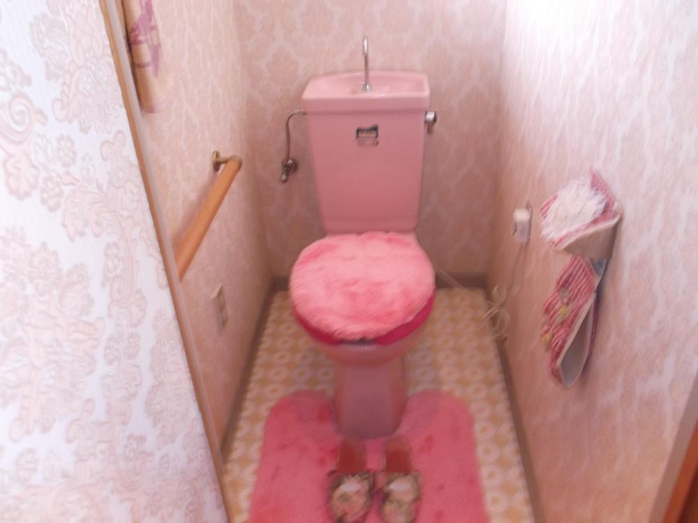 Toilet. Indoor (11 May 2013) Shooting