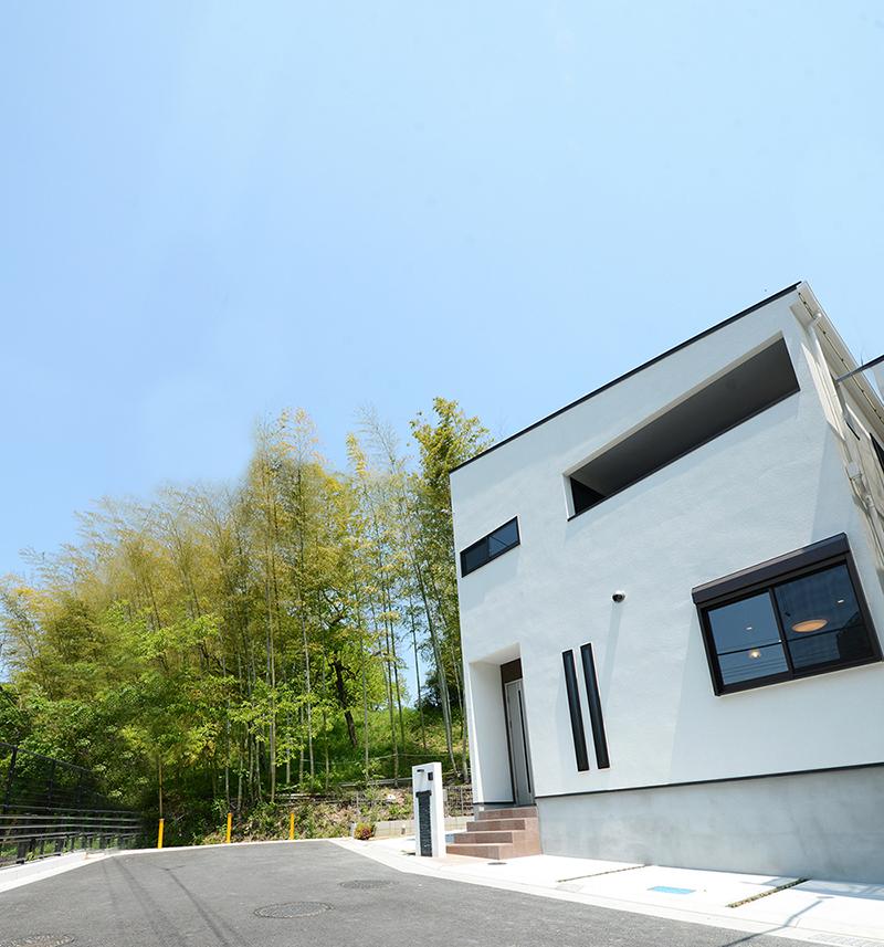 Model house photo. Model house