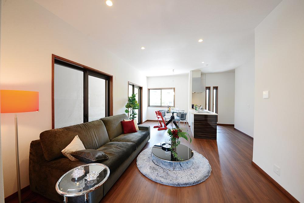 Model house photo. Model house