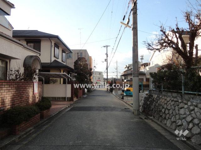 Local photos, including front road. Frontal road