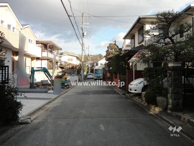 Local photos, including front road. Frontal road