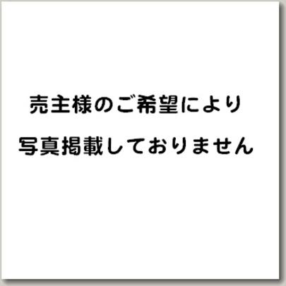 Local land photo. It does not have a photo posted by hope of the seller like. 