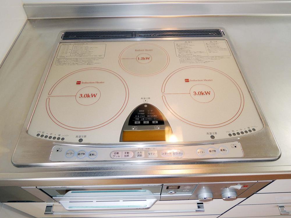 Kitchen. Indoor shooting