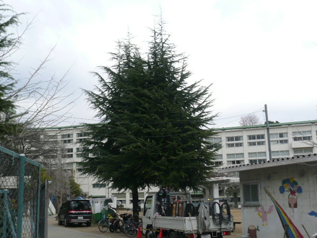 Primary school. 1102m to Kawanishi Municipal Sakuragaoka Elementary School (elementary school)