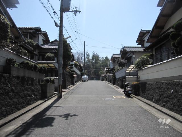 Local photos, including front road. Frontal road