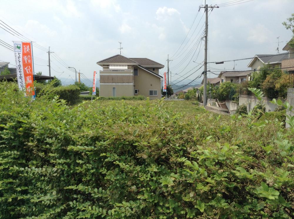 Local land photo. local